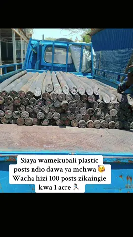 ✅Plastic posts do not rot, saving you cost of repairs & maintenance over the years. 🤙🏾Call us on 0113274664 We discuss about your size of land and the number of posts it will take.  #plasticposts #kisumutiktoker #fencing #farmlife #fyp 