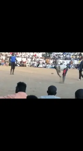 #الامين_ديمكس #حصريات_المصارعه_السودانية #ربنا_يصلح_حال_البلد🇸🇩 #اعادة_النشر🔃تابعوني 