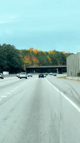 North Carolina 🇺🇸