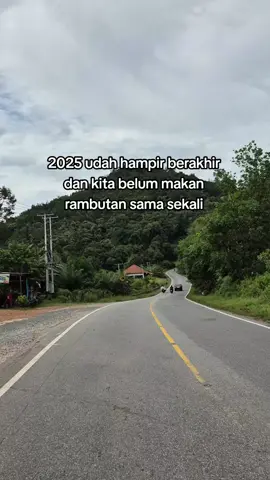 Wahai buah idaman, muncullah. #rambutan #2025 #akhirzaman 