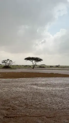 #تصويري #اجواء_خيالية #مطر #trend #explore 