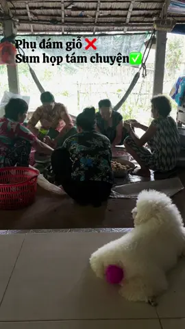 Trung bình 1 buổi đám giỗ miền tây #mientay #damgiobencon #71bentre_xinchao🌴  #vinhlong #xuhuongtiktok 