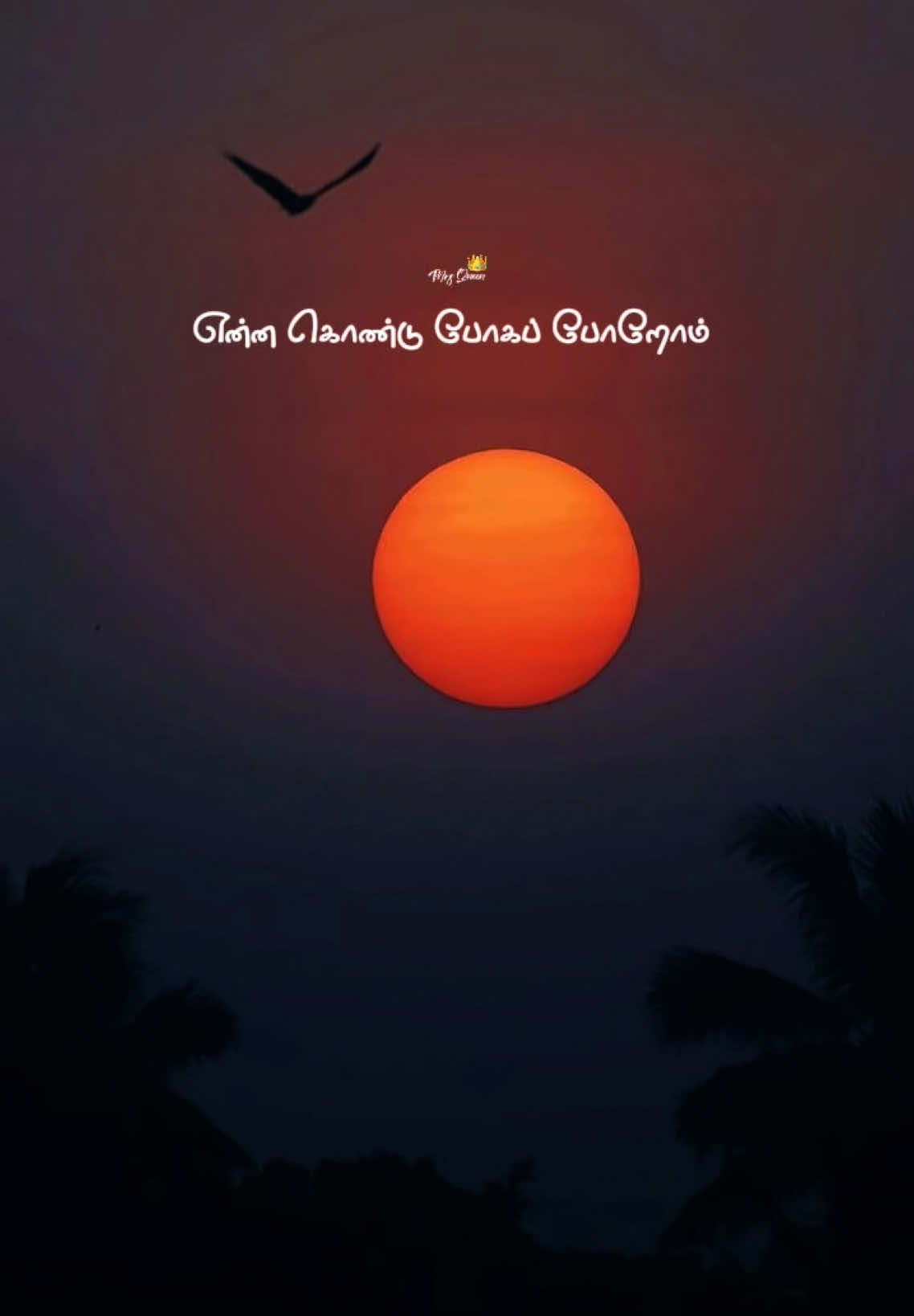 #ennakondupogaporom #life #lifehacks #ennakondu #tamilsong #tamilsongstatus #songstatus #statusvide #whatsappstatus #tendingvideo #tendingsong #songlove #statusforyou #tamilsonglyrics 
