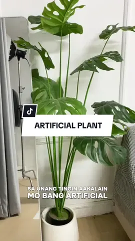 Dagdag ganda talaga pag may artificial plant ka sa loob ng bahay. #artificialplant #indoorplants #plantsforsale 
