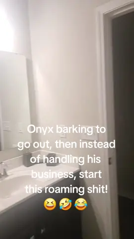 This damn dog! #blessed 