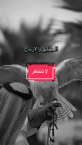 لاتنتظر ود الجمايل #مشاهدات #قصيد #شعر #اكسبلور 