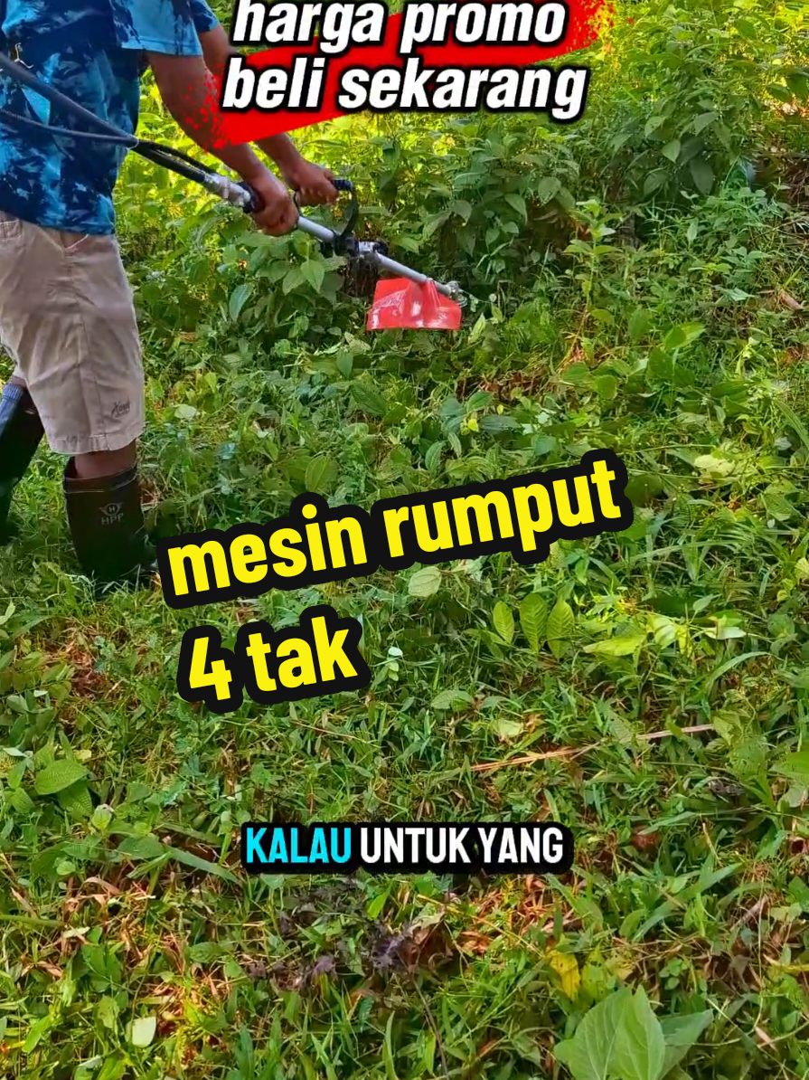 mesin rumput 4 tak berkualitas oke dan irit bahan bakar#mesinrumput 