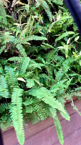 Tas secantik ini, harganya cuma 70Rban aja😱 Percaya gak, yuk join Live aku🥳🎉 #promomakan1010 #promoguncang1010 #tasmurahberkualitas #taskekinian #lykabag 