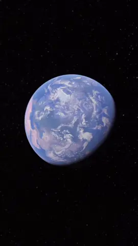 #Ai #veo3 #trend #cat 