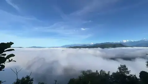 ☮️  #fyp 