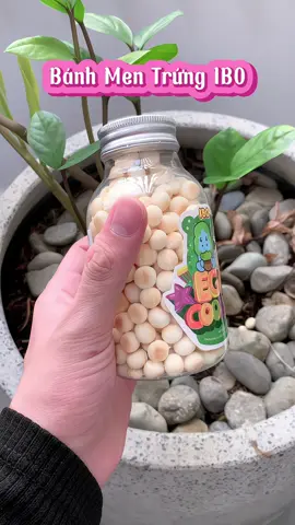 Bánh Men Trứng IBO 🥚 - Giòn xốp, thơm ngon phù hợp cho các bé yêu tập ăn dặm và người lớn muốn ăn nhẹ lành mạnh🥰                    #sahajp#banhmentrung#banhtrung#banhibo#beandamdungcach 