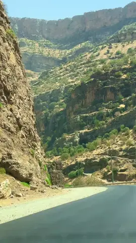 @ام ياسين #بيخال_كردستان_العراق_اربيل #كوردستان_العراق_اربيل_دهوك_زاخۆ #الشعب_الصيني_ماله_حل😂😂 #العراق 