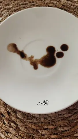 الأسد ٨/١٠/٢٠٢٥ #viral #tiktok #fyp #edit #capcut 