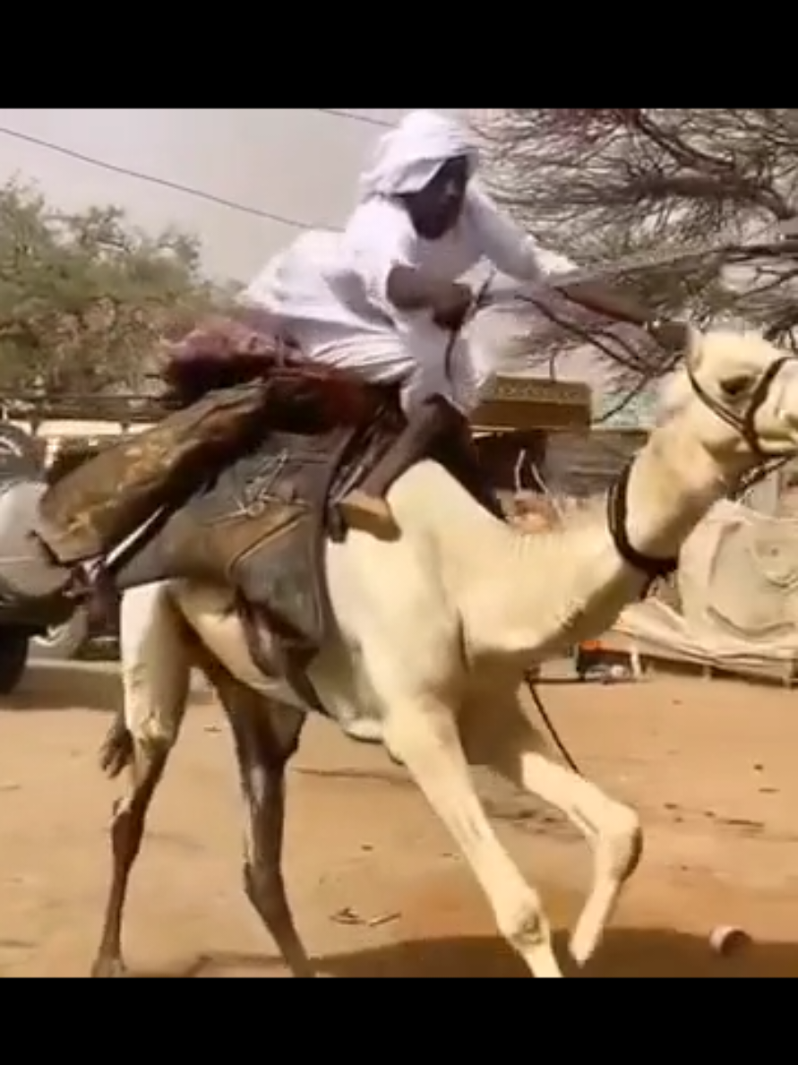 #السودان #sudanese_tiktok_🇸🇩 #ارض_السمر_والنيل #cupcut #tiktok 