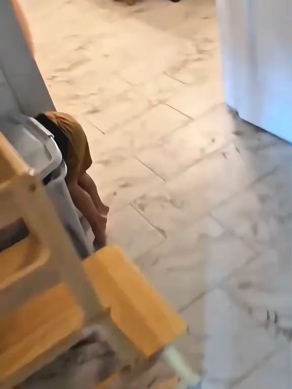 Best friends 🥰😂 #cats #catsoftiktok #funnyanimals #funnyvideos #Love #bestfriend #pets #baby