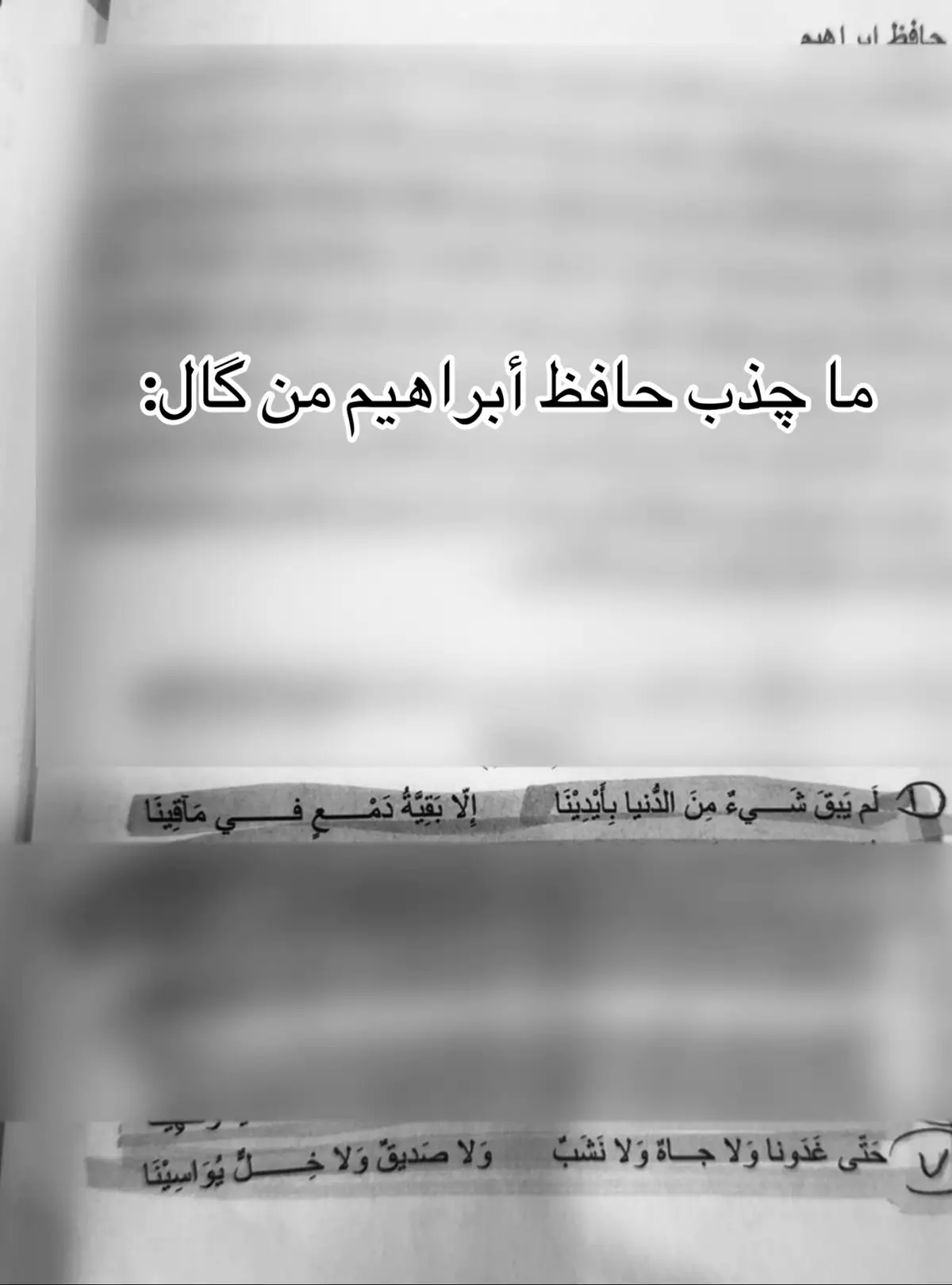 حقيقة🤷🏻‍♀️ #الشعب_الصيني_ماله_حل😂😂 #capcut 