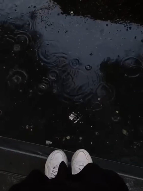 أجواء الشهر يلي انولدت فيه ♥️🌧️ #ترند #foryoupage #fyp #viral #محمود_الجبليtiktokarabمشاهدات 