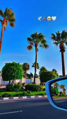 ماهي بالمسافات هي ب القلب..🕊️✍🏻🌹✍🏻💌#اكسبلور #اكسبلور 