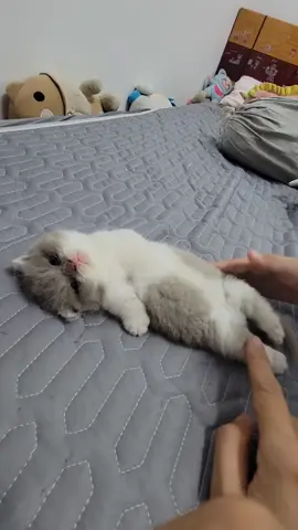 Dù có kiu cũng hok ai tới cíu cưng đâu eheheheeee