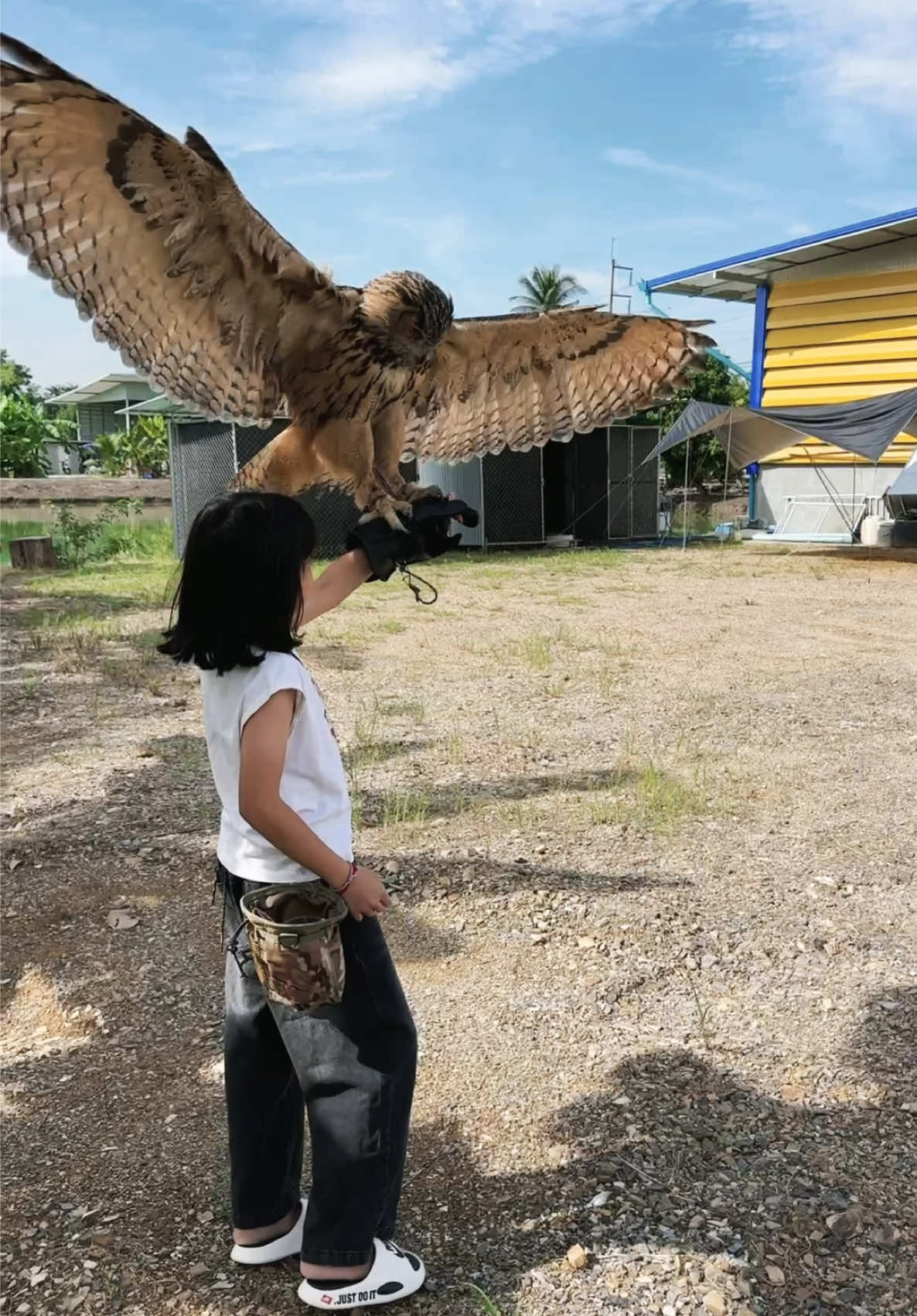 เป็นลูกสาวป๊าก็จะเท่ๆหน่อย 😆💗#อาร์ตนกฮูก #tra_the_raptors_in_action @น้องของขวัญ A.K.K. Hawkcontrol 