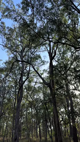 Posting this as a reminder to my overstimulated-self today 🙃 