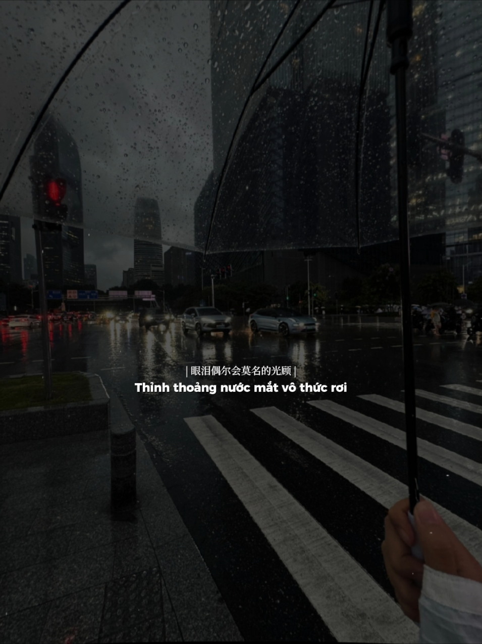 Làm sao em có thể kiềm nén sự chấp niệm với anh...!#nhachaymoingay #nhactamtrang #tamtrang 