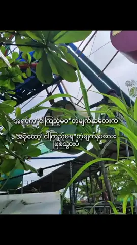 #အဲလိုပါဆိုနေ🤣#fyp #myanmar #ဟဲဟဲစတာပါရှင်😛 