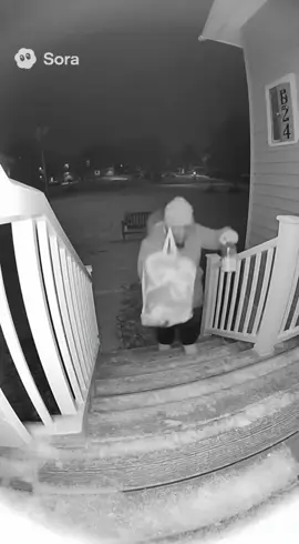 she’s alright, the rail isn’t… #fyp #falling #slippery #camera #doorbellcamera 