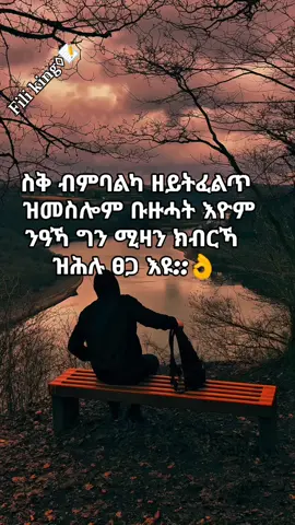 #habeshantiktok #viraltiktok #video #music 