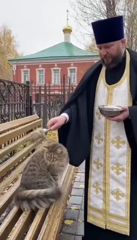 Я всегда знал, что в кошаках помимо 9-ти жизней еще сидят и бесы 😄 пригенерации видео ни один священник не пострадал! UPD: Социальный эксперимент: «как люди быстро верят всему в интернете»… #кот #бесы #изыйди #изгнаниебесов 