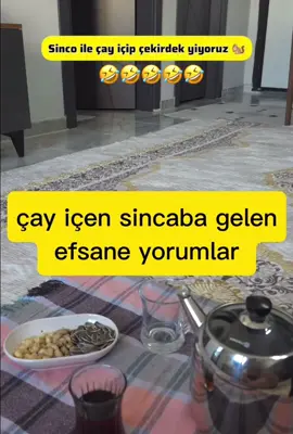 #keşfet #keşfetteyizzz #tiktokviral #pubgmobile #trend 