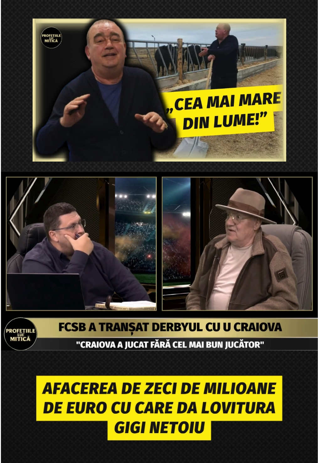 Gigi Netoiu da lovitura cu o afacere de zeci de milioane de Euro! Mitica Dragomir a dezvaluit totul la “Profetiile lui Mitica” cu Horia Ivanovici!  #afacere #mitica #horiaivanovici #show #fotbal  🔔FOLLOW!  💬Lasa un comentariu!  👍Like & Share!  🔥Exclusivitati si declaratii tari pe FANATIK.RO! Link in bio!  
