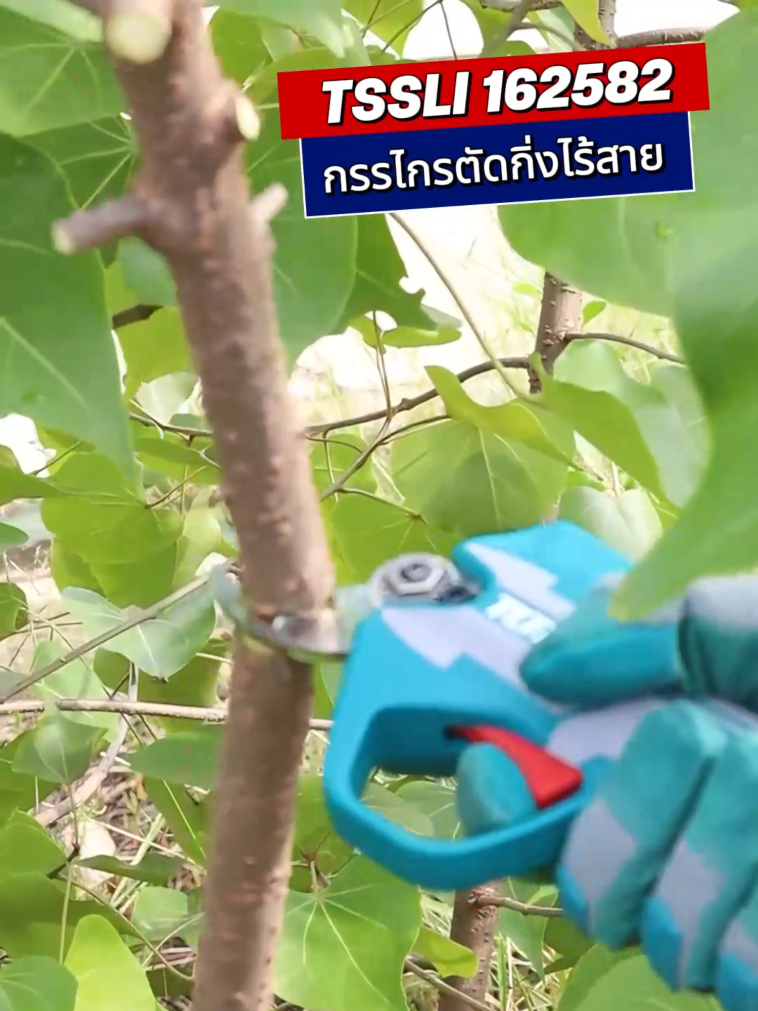 TOTAL กรรไกรตัดกิ่งแบตเตอรี่ไร้สาย 16V ครบชุด 0-25 มม. รุ่น TSSLI162582 #total #กรรไกรตัดกิ่ง #กรรไกรตัดกิ่งแบตเตอรี่ไร้สาย #เครื่องมือช่างและอุปกรณ์งานช่าง #เทรนด์วันนี้