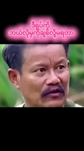 #ဒီရုပ်ကိုဘယ်လိုမှကိုချစ်လို့မရတာ  #myanmarcelebritytiktok #ဟာသလေးများ🤣🤣🤣 #myanmarcelebritytiktok 