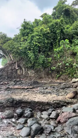 Pantai bidadari kembali tayang ya min🙂 di tunggu yang mau berkunjung ke pantai #wisata #pantai #pantaibidadari #fyppantai #anakpantai🏝 #view #pantailampung #lampung #tanggamus #cukuhbalak #lampungpride #lampungtiktok #healing #treveling #mantaikuy #trending 