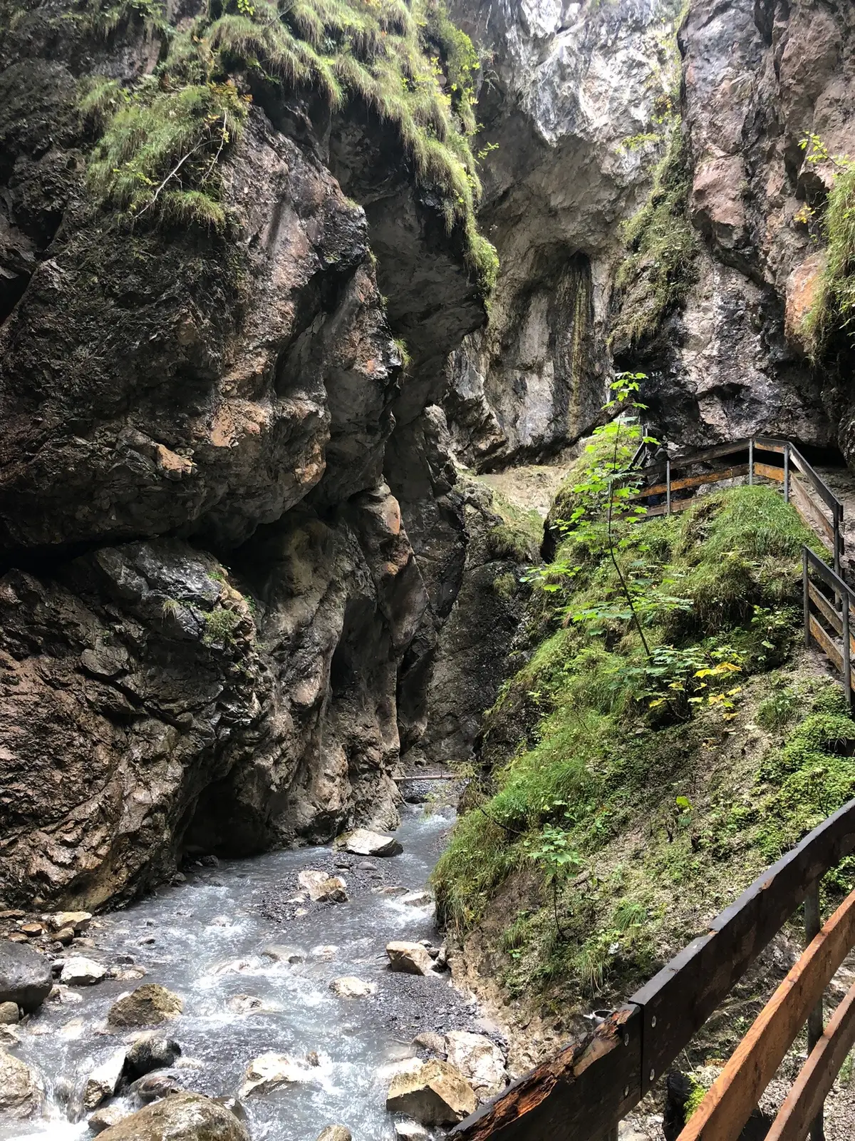 🌲🥾 #austria #nature #141 #tirol