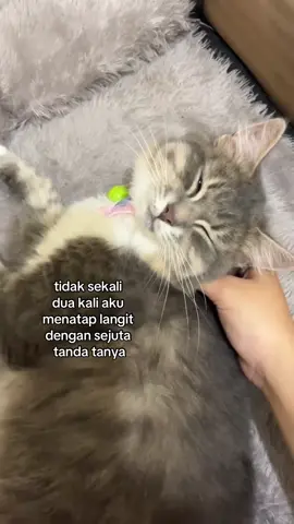 #foryou 
