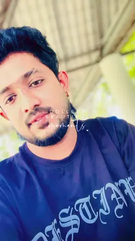 #creatorsearchinsights  #foryoupage #viral චුට්ට්ක් චුට්ටක් බලන්න මා දිහා...