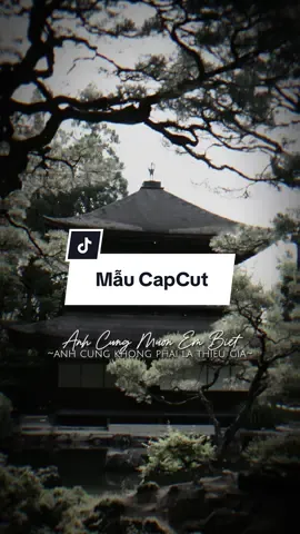 #CapCut Anh cũng muốn em biết anh không phải là thiếu gia...#capcutpioneer #pioneertemplate 