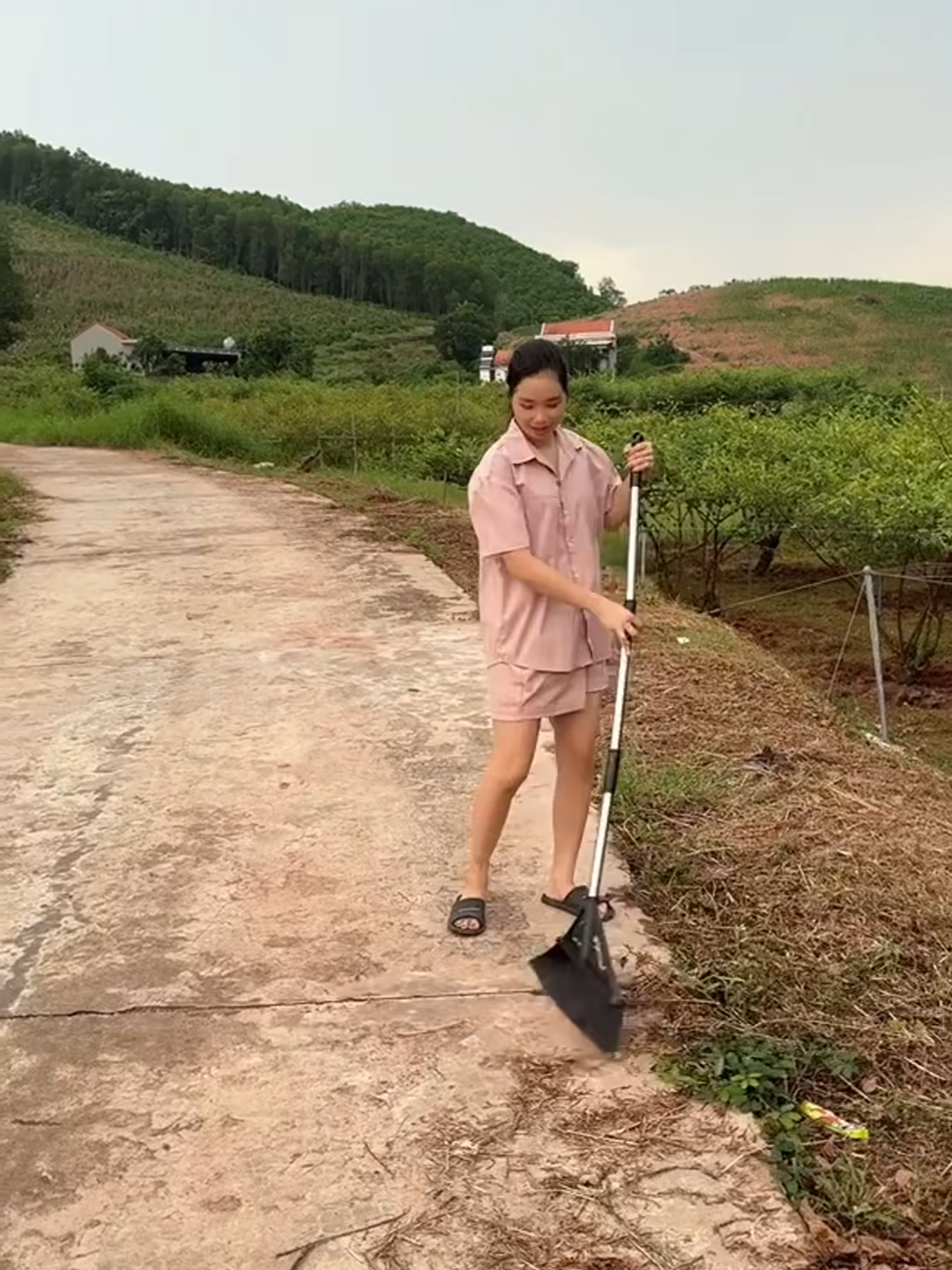 Chổi Cước Siêu Bền - Quét Sạch Mọi Góc Sân - Nhanh Chóng và Tiện Lợi