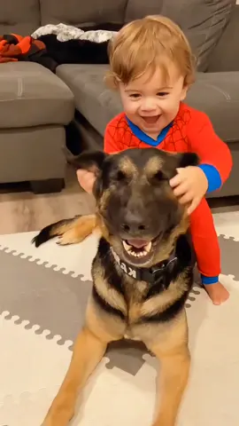 The sweetest friendship🥰🥰 #Love #TrueLove #cute #pet #cat #dog #foryou #fyp 