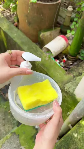 Hộp đựng nước rửa chén rửa bát tiện lợi sạch sẽ tiết kiệm luôn nước rửa bát lun mấy chị @Phương Chăm Chỉ  @Phương Chăm Chỉ #phuonggiadung7 #xuhuong #hopdungnuocruachen #hopdungnuocruachenthongminh #hopdungnuocruabat 