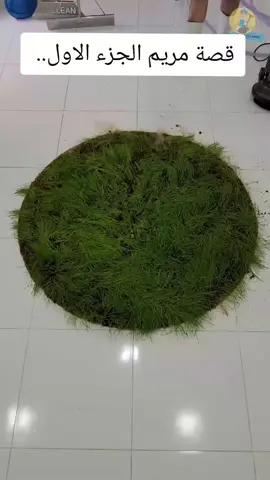 #قصة مريم الجزء الاول #قصص_من_التاريخ👑 #تصميم_فيديوهات🎶🎤🎬تصميمي🔥 #متابعه_ولايك_واكسبلور_احبكم #قصص_واقعيه 