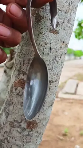 Nay dùng thìa ghép ae nhé #TikTokAwardsVN #xuhuong #lamvuon #bonsai #ghepcay 