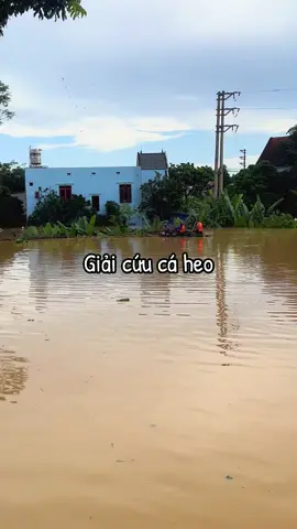 Bi hài ngày mưa lũ 