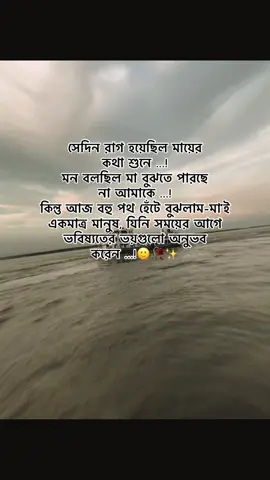 সেদিন রাগ হয়েছিল মায়ের কথা শুনে …! মন বলছিল মা বুঝতে পারছে না আমাকে …! কিন্তু আজ বহু পথ হেঁটে বুঝলাম-মা’ই একমাত্র মানুষ, যিনি সময়ের আগে ভবিষ্যতের ভয়গুলো অনুভব করেন …!🙂🥀✨#foryou #foryoupag #bdtiktokofficial🇧🇩 #unfreezemyacount #growmyaccount @For You @TikTok @TikTok Bangladesh 