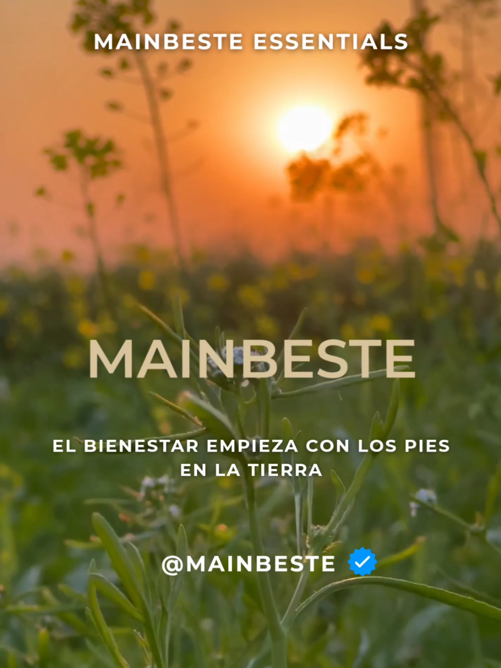 Caminar descalzo sobre suelo natural —arena, hierba, tierra— no es solo un gesto simple: • Activa los receptores de la planta del pie. • Mejora la percepción del cuerpo y el equilibrio. • Puede favorecer la relajación y el descanso. Una rutina silenciosa, pero profundamente restauradora. 🌿 Encuentra un momento cada día para tocar la tierra. #mainbeste #bienestar #mindfulness #luxurylifestyle #yoga 