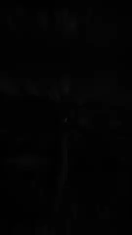 Nhưng nếu em muốn anh sẽ mang em theo không cần lo..#nhachaymoingay#nhactamtrang#..vy199x#xuhuong2025#fyp#stt_buồn_tâm_trạng 