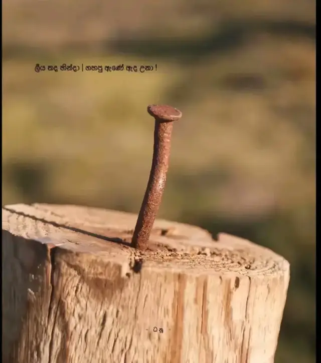 #foryoupage #videoviral #viraltiktok 