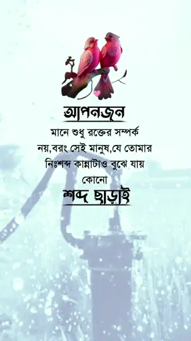 ❤️‍🩹🌿#foryouu #foryoupage #tending #views #bdtiktokofficial 